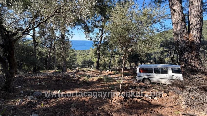 Для Продажи Поле в Çandır Köyceğiz - Под Жилье застройку - 5.715 m²