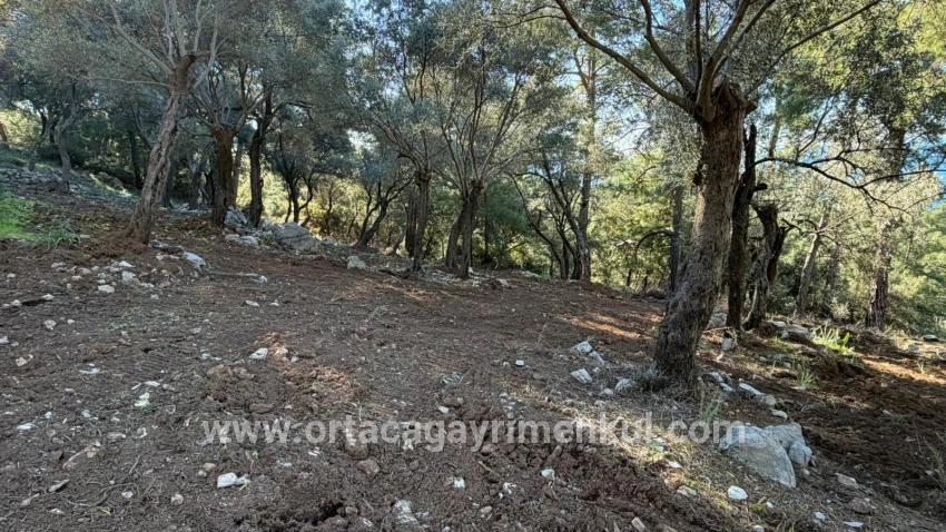 Для Продажи Поле в Çandır Köyceğiz - Под Жилье застройку - 5.715 m²