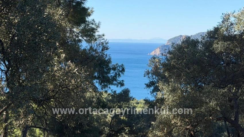 Для Продажи Поле в Çandır Köyceğiz - Под Жилье застройку - 5.715 m²