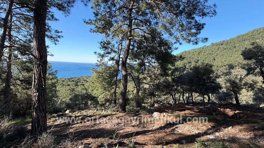 Для Продажи Поле в Çandır Köyceğiz - Под Жилье застройку - 5.715 m²
