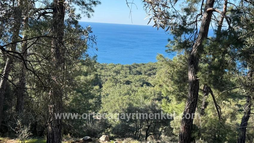 Для Продажи Поле в Çandır Köyceğiz - Под Жилье застройку - 5.715 m²