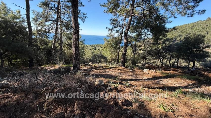 Для Продажи Поле в Çandır Köyceğiz - Под Жилье застройку - 5.715 m²
