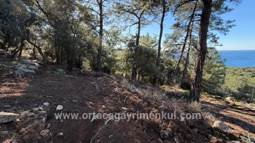 Для Продажи Поле в Çandır Köyceğiz - Под Жилье застройку - 5.715 m²