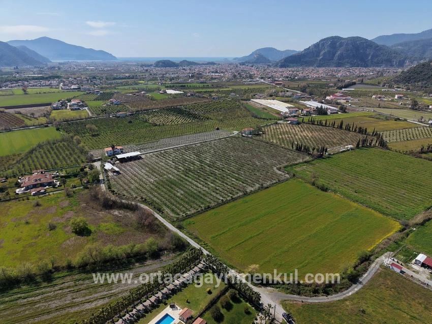 Для Продажи Виноградник И Сад в Dalyan Ortaca - Под Виноградник И Сад застройку - 17.550 m²