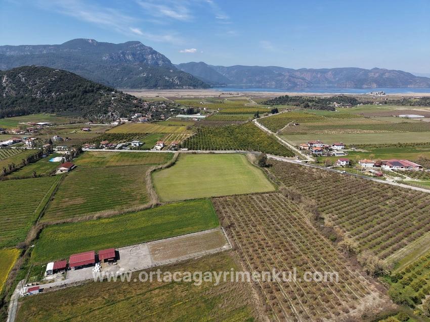Для Продажи Виноградник И Сад в Dalyan Ortaca - Под Виноградник И Сад застройку - 17.550 m²