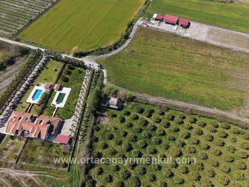 Для Продажи Виноградник И Сад в Dalyan Ortaca - Под Виноградник И Сад застройку - 17.550 m²