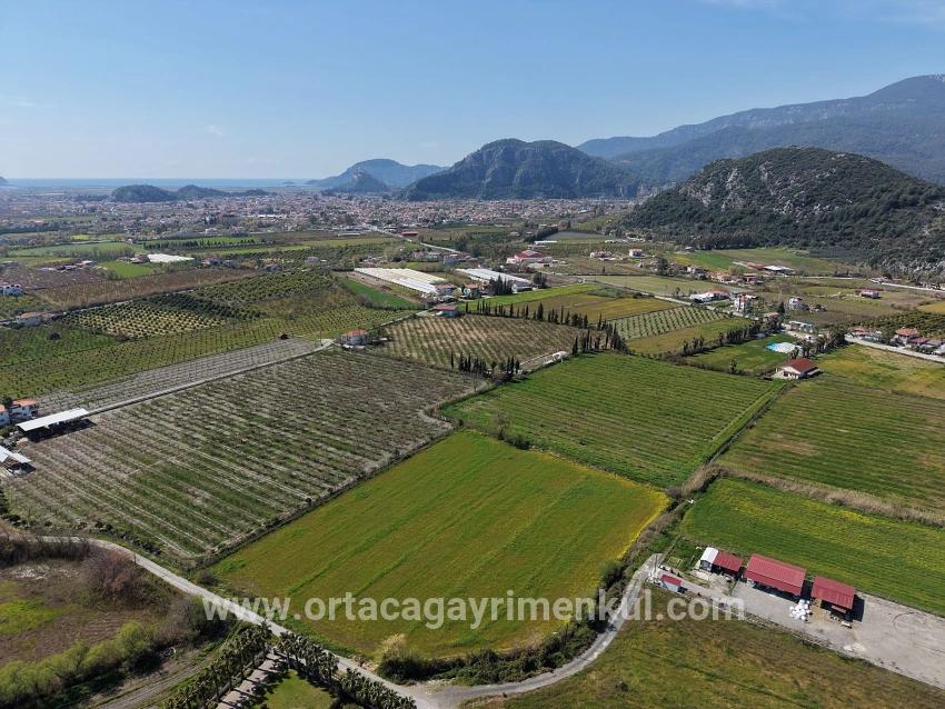 Для Продажи Виноградник И Сад в Dalyan Ortaca - Под Виноградник И Сад застройку - 17.550 m²