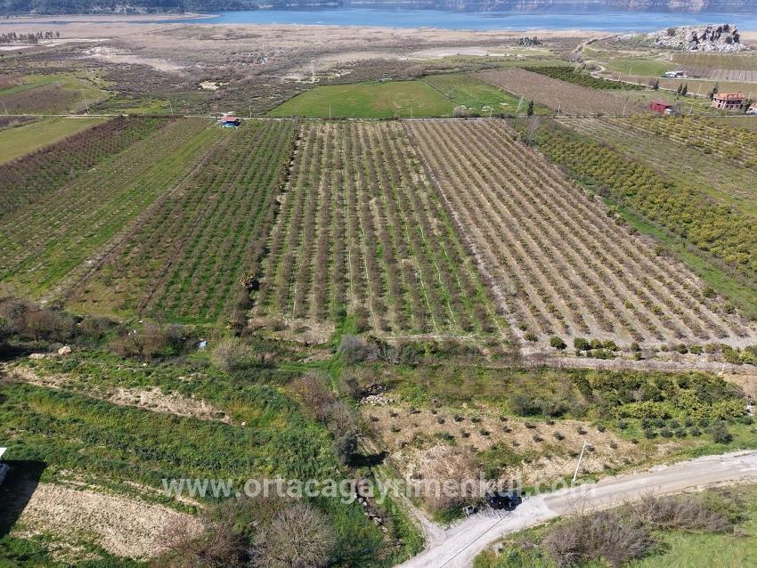 Для Продажи Поле в Eskiköy Ortaca - Под Поле застройку - 16.710 m²