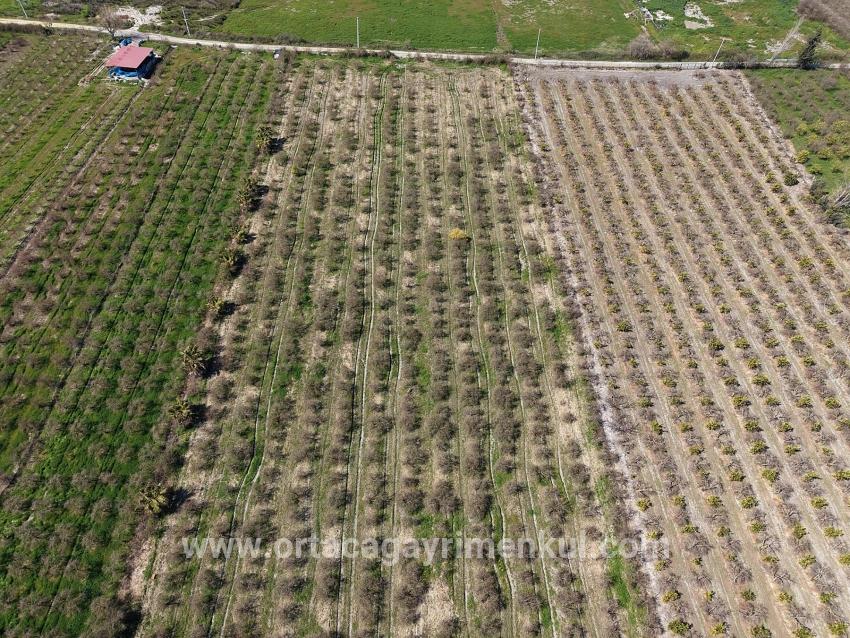 Для Продажи Поле в Eskiköy Ortaca - Под Поле застройку - 16.710 m²