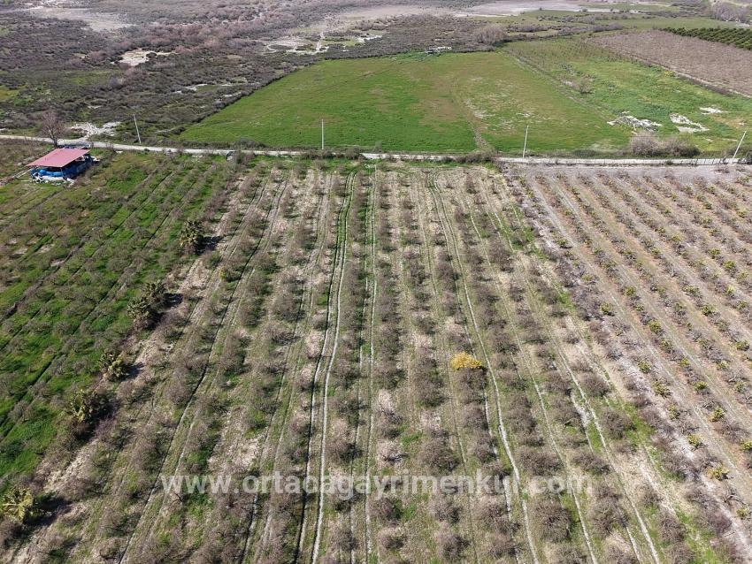 Для Продажи Поле в Eskiköy Ortaca - Под Поле застройку - 16.710 m²