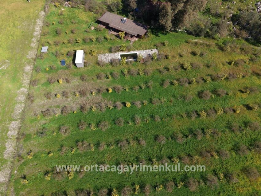 Для Продажи Общежитие в Eskiköy Ortaca - 11.000 m²