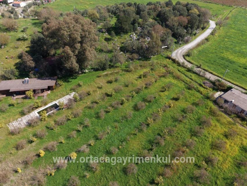 Для Продажи Общежитие в Eskiköy Ortaca - 11.000 m²