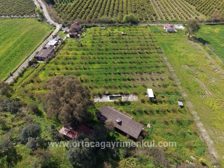 Для Продажи Общежитие в Eskiköy Ortaca - 11.000 m²