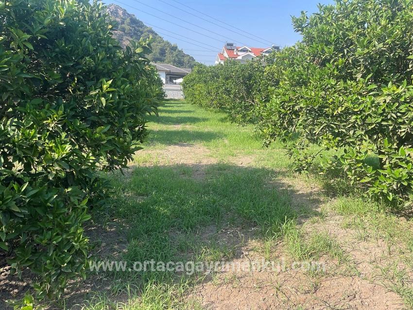Для Продажи Сюжет в Dalyan Ortaca - Под Жилье застройку - 722 m²