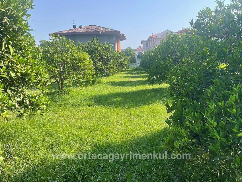 Для Продажи Сюжет в Dalyan Ortaca - Под Жилье застройку - 722 m²