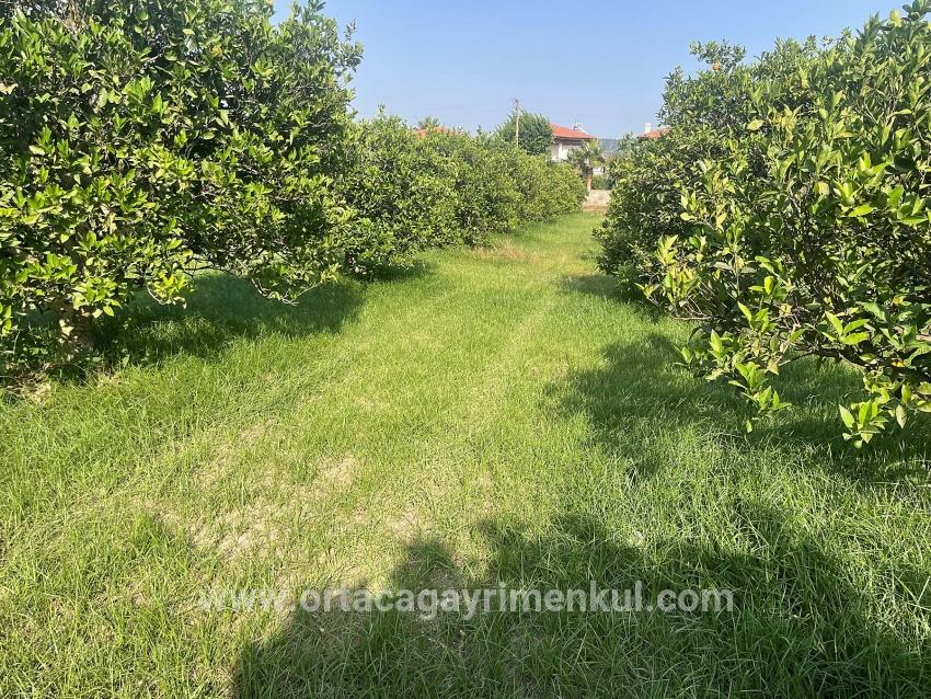 Для Продажи Сюжет в Dalyan Ortaca - Под Жилье застройку - 722 m²