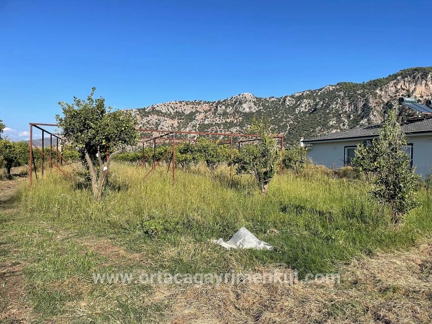 Для Продажи Поле в Dalyan Ortaca - Под Поле застройку - 6.600 m²