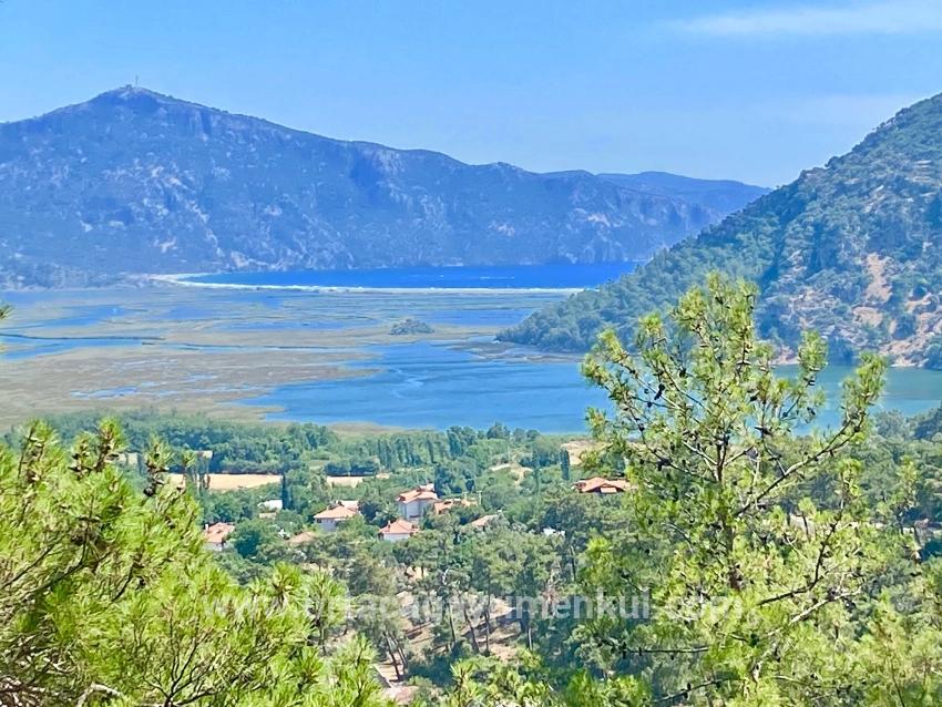 Для Продажи Поле в Çandır Köyceğiz - Под Поле застройку - 1.252 m²