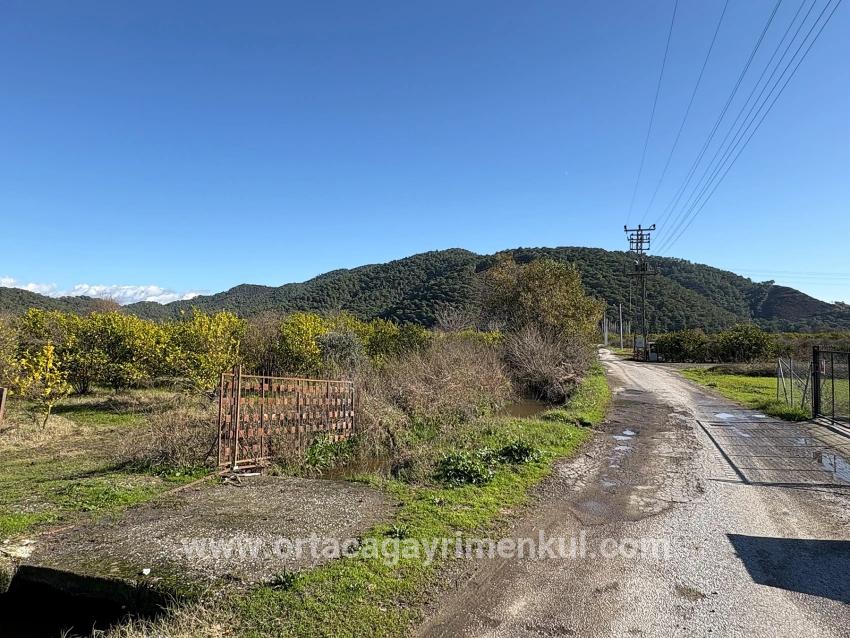 Для Продажи Поле в Tepearası Ortaca - Под Виноградник И Сад застройку - 23.000 m²