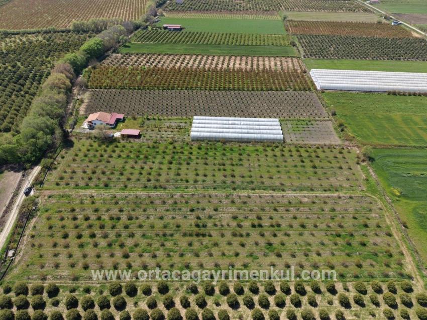 Для Продажи Поле в Eskiköy Ortaca - Под Поле застройку - 16.000 m²
