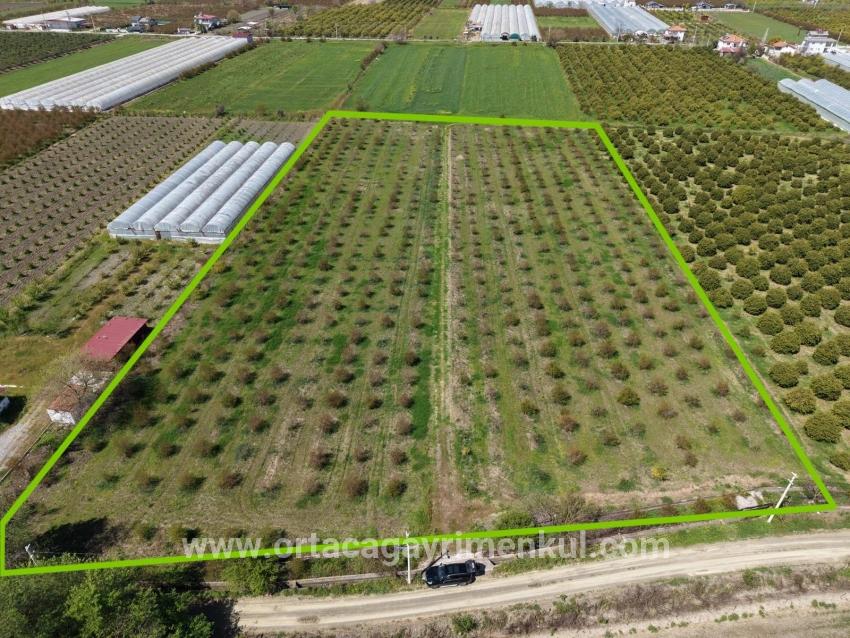 Для Продажи Поле в Eskiköy Ortaca - Под Поле застройку - 16.000 m²