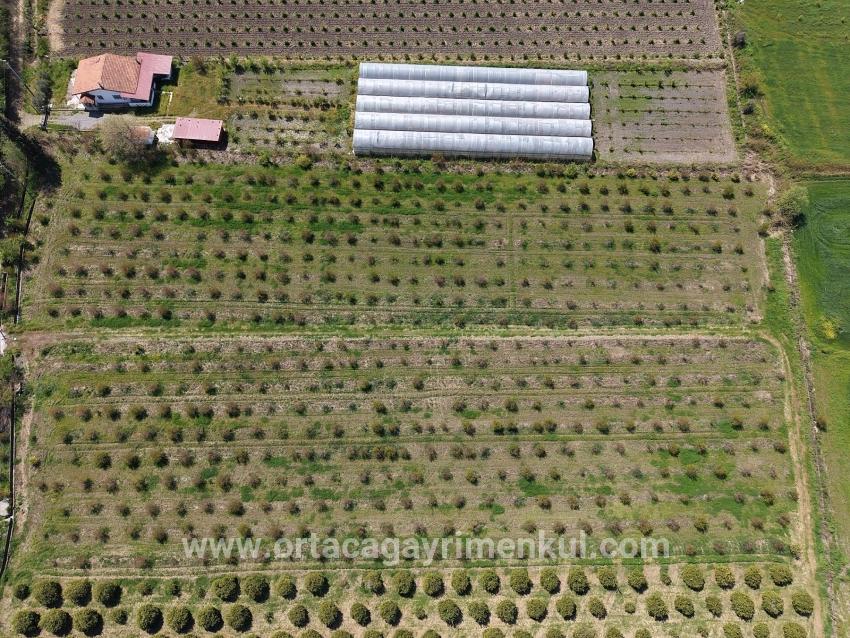 Для Продажи Поле в Eskiköy Ortaca - Под Поле застройку - 16.000 m²
