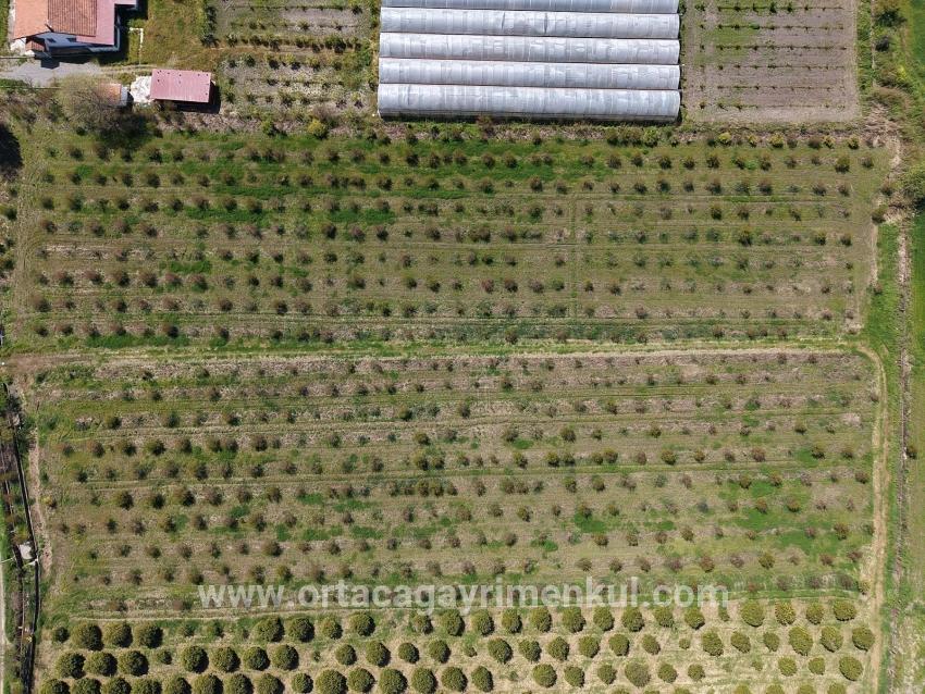 Для Продажи Поле в Eskiköy Ortaca - Под Поле застройку - 16.000 m²