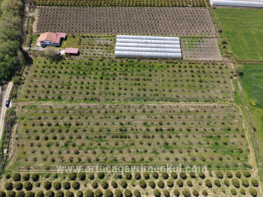 Для Продажи Поле в Eskiköy Ortaca - Под Поле застройку - 16.000 m²
