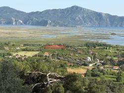 Для Продажи Поле в Çandır Köyceğiz - Под Поле застройку - 1.252 m²
