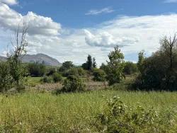 Для Продажи Поле в Zeytinalanı Köyceğiz - Под Поле застройку - 10.500 m²