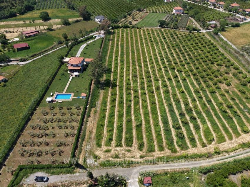 Dalyan Merkeze Yakın 5100M2 Satılık Tarla