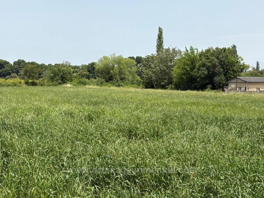Okçular Marmarlı'da 2390M2 Satılık Arsa