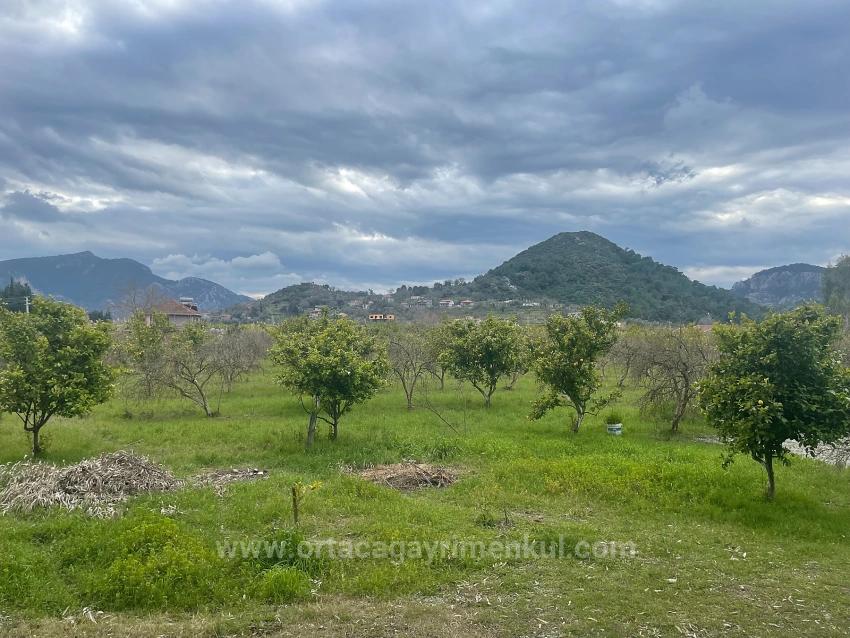 Dalyan'da 11.000M2 Arsa İçerisinde Satılık Butil Otel Ve Bungalov