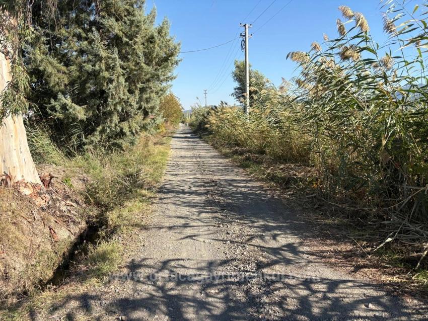 Eskiköy'de 21500M2 Satılık Nar Bahçesi