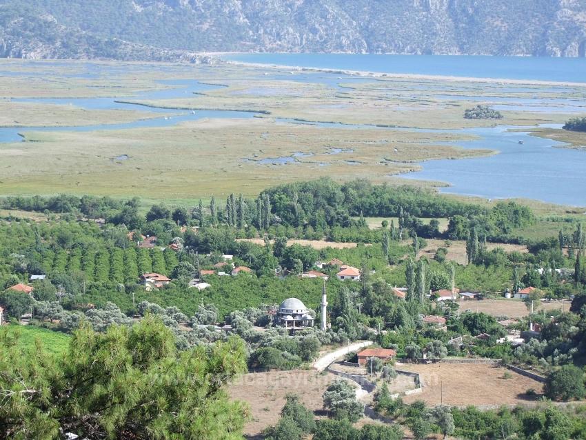 Köyceğiz Çandır'da 19.334M2 Satılık Tarla