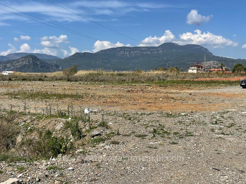 Dalyan İztuzu Plaj Yoluna Sıfır 19.600M2 Satılık Tarla