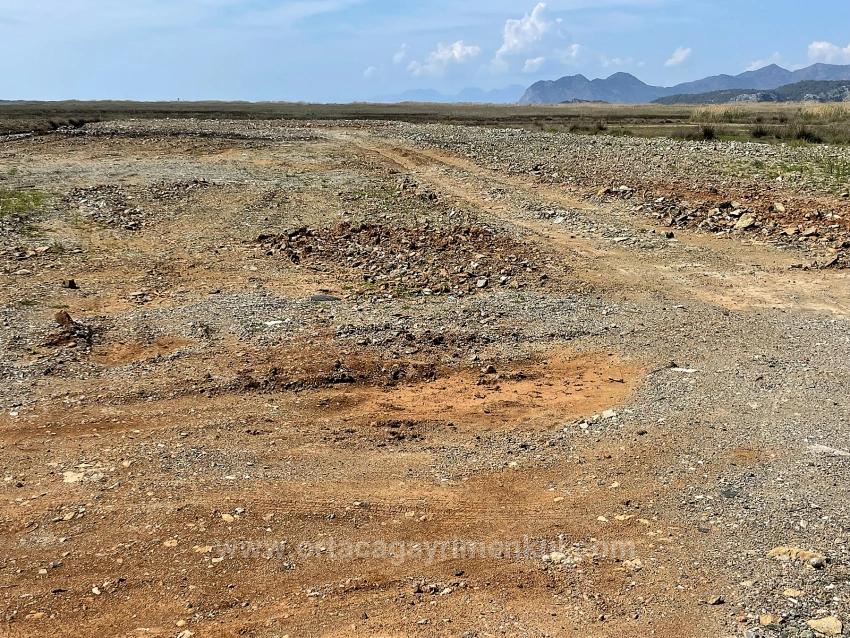 Dalyan İztuzu Plaj Yoluna Sıfır 19.600M2 Satılık Tarla