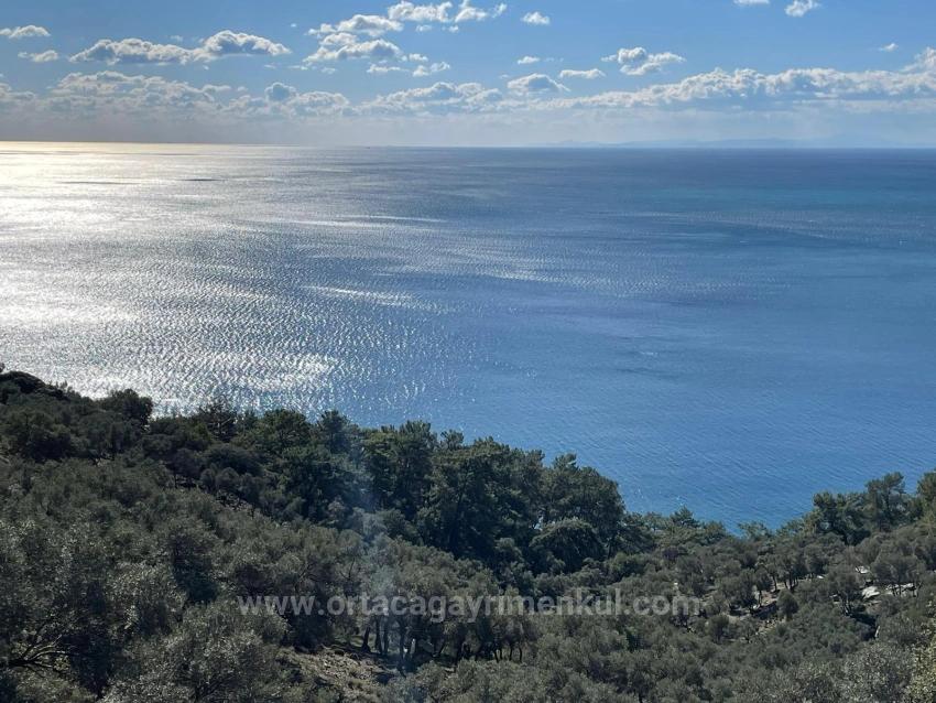 Çandır Full Deniz Manzaralı 20.000M2 Satılık 2B