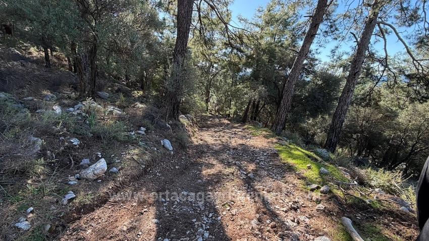 Çandır'da Full Deniz Manzaralı 5715M2 Satılık 2B Tarla