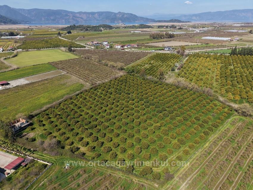 Dalyan Merkeze Yakın 17.550M2 Satılık Bağ-Bahçe