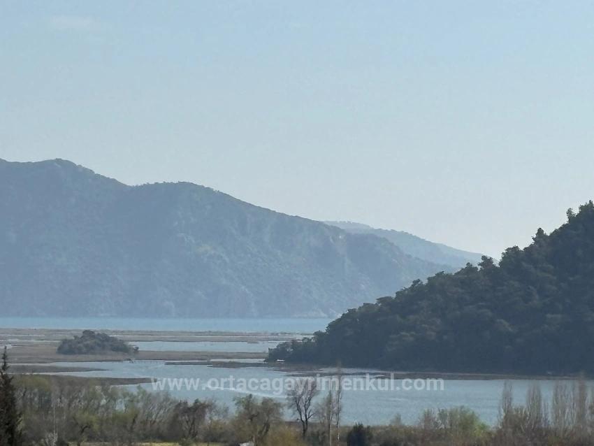 Köyceğiz Çandır Köyü'de Hisseli Rızai Taksimli 2.023M2 Satılık Tarla