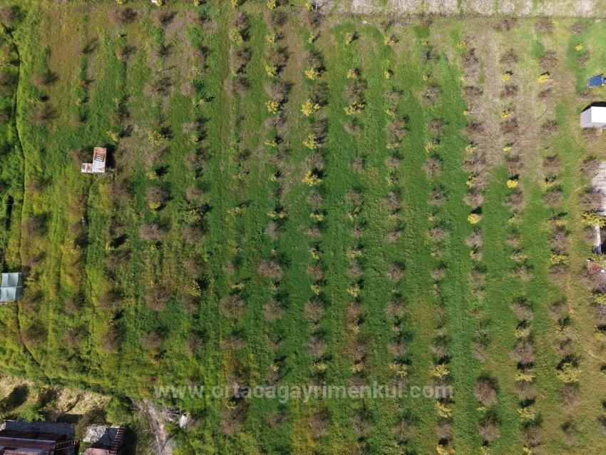 Eskiköy'de 11,000M2 Arsa İçinde Turizm Amaçlı İşletme Satılık