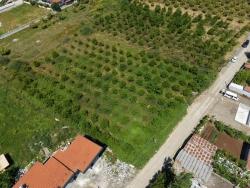 Okçular'da 1050M2 Köy Yerleşik Alanında Satılık Arsa