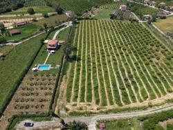 Dalyan Merkeze Yakın 5100M2 Satılık Tarla