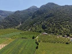 Dalyan Merkeze Yakın 5100M2 Satılık Tarla