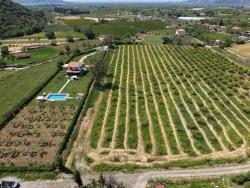 Dalyan Merkeze Yakın 5100M2 Satılık Tarla