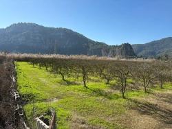 Ortaca Dalyan Mah. Satılık Arsa - Konut İmar Durumlu - 5.985 m²