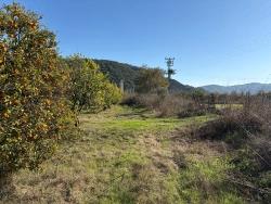 Ortaca Tepearası Mah. Satılık Tarla - Bağ & Bahçe İmar Durumlu - 23.000 m²