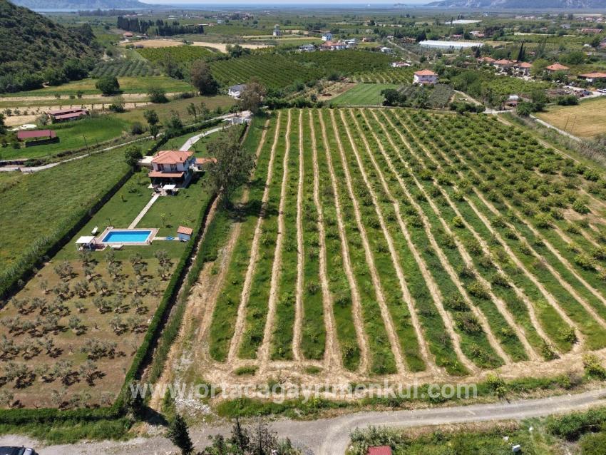 Ortaca Dalyan Mah. Satılık Tarla - Tarla İmar Durumlu - 5.100 m²
