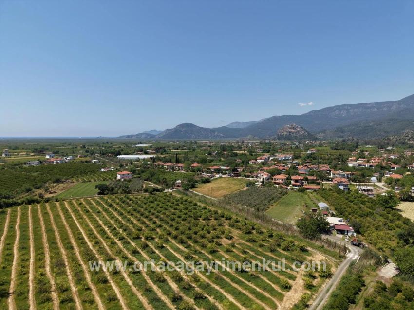 Ortaca Dalyan Mah. Satılık Tarla - Tarla İmar Durumlu - 5.100 m²